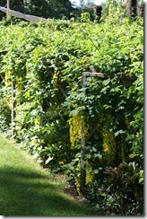bloggebilder 039