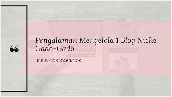 Kelebihan dan Kekurangan Mengelola Beberapa Blog Niche Khusus VS Blog Niche 'Gado-Gado'