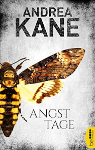 Angsttage (Romantic Suspense der Bestseller-Autorin Andrea Kane 2)