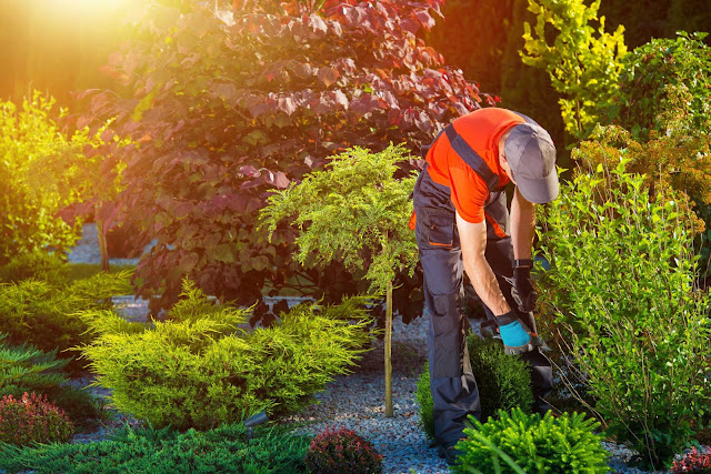 Landscaping company in UAE
