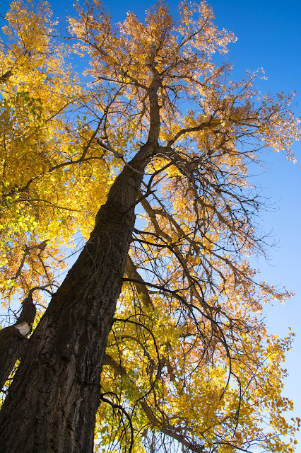 Bear Creek Lake Park