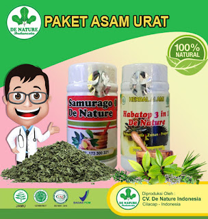 Obat herbal manjur untuk asam urat dari de nature