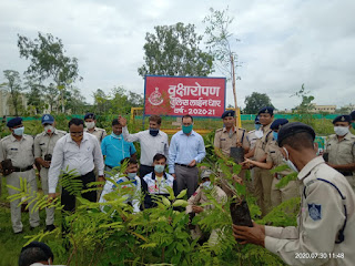 अंतर्राष्ट्रीय मित्रता दिवस 'वृक्ष मित्र' के रूप में मनाया