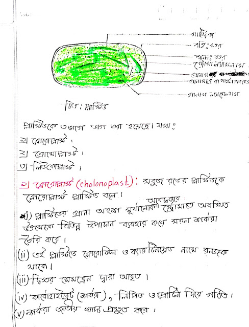 SSC Biology Chapter 2 Hand Note