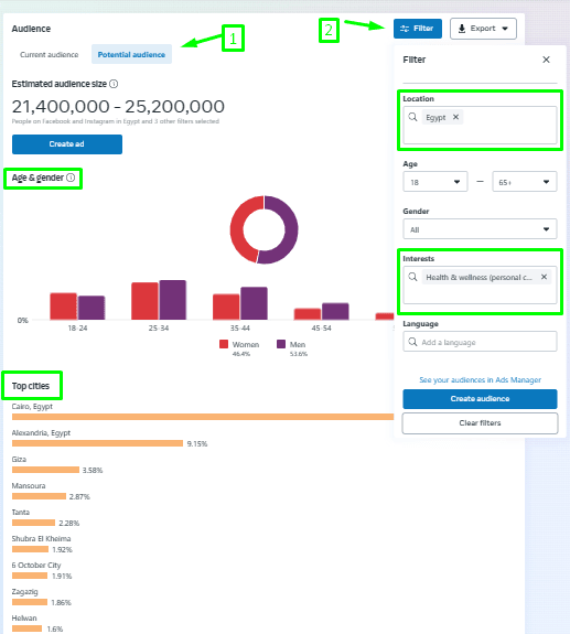 facebook audience insights