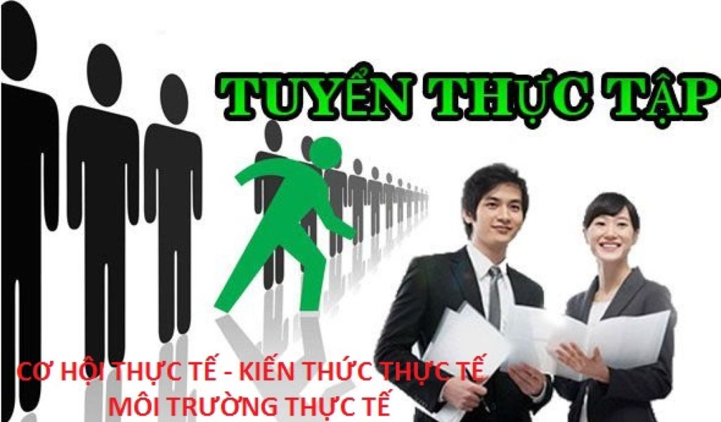 THỰC TẬP SINH KIỂM TOÁN