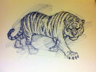 sketch tiger