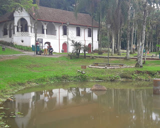 Artista Rogério Borges Mitoplasmas