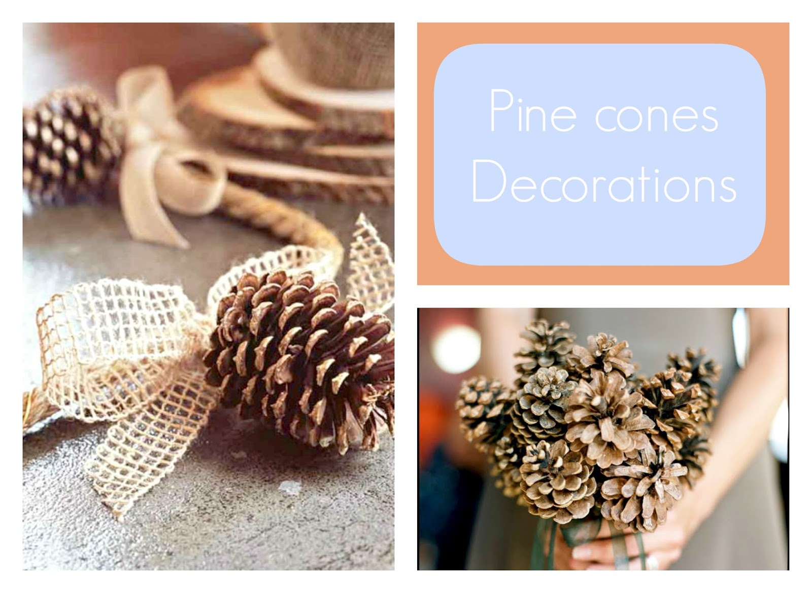 decoration with pine cones