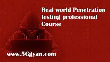 Real world Penetration testing professional Course