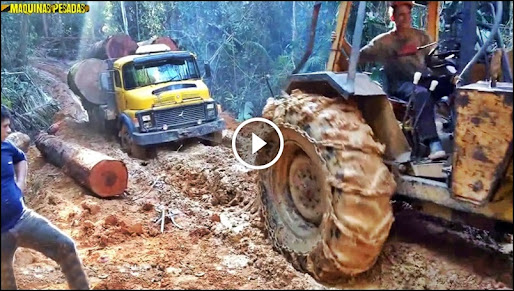 Skidder puxando caminhão pesado atoleiro