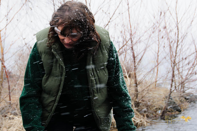 Marge Gibson of Raptor Education Group prepares to release a rehabilitated Common Loon during a sudden snow squall on Lake Wausau.