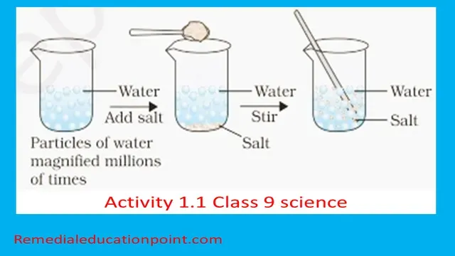 NCERT activity 1.1 Class 9 Science with conclusion