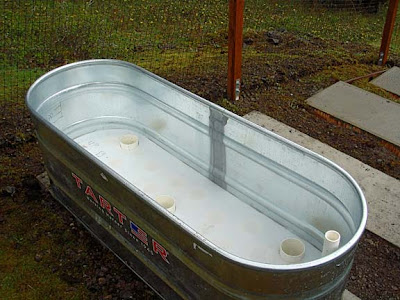 horse trough garden, animal watering trough garden