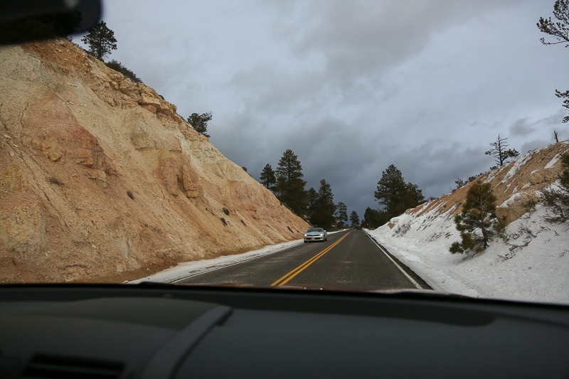 roadtrip thru the window-7