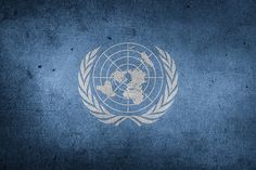 The United Nations Geneva Fund