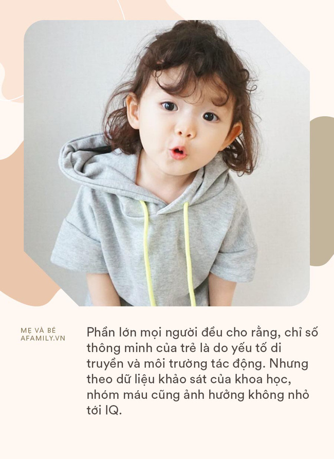 Nhóm máu cũng quyết định chỉ số thông minh của trẻ, bé thuộc nhóm máu này sẽ có IQ cao
