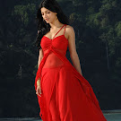 Sruthi Hassan from 7th Sense in Red Dress Photos