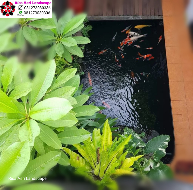 Jasa Tukang Kolam Natural Koi Pond Minimalis Batu Alam Kolam Natural Koi Pond & Kolam Minimalis WaterWall Air Terjun & Mancur Surabaya