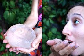 Teknologi Kemasan Air Mineral