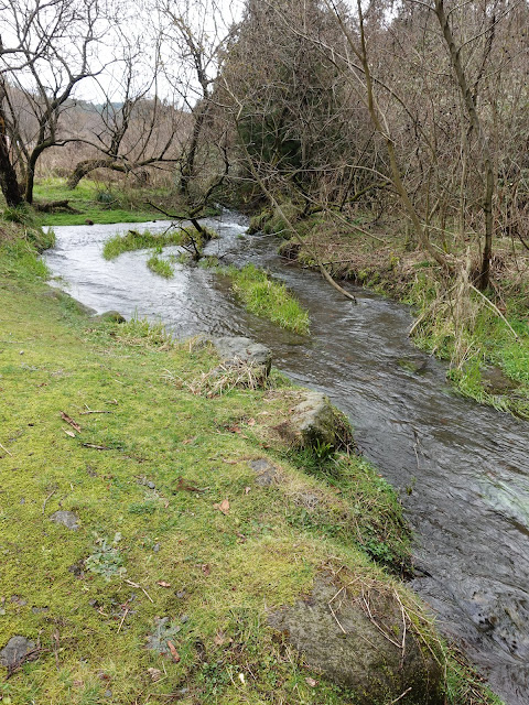 鳥取県西伯郡伯耆町丸山　地蔵滝の泉