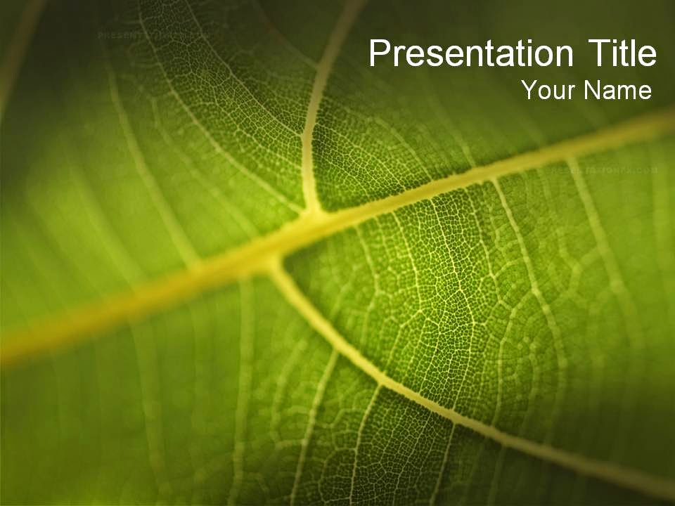 Background PowerPoint Tema Biology Deqwan1 Blog