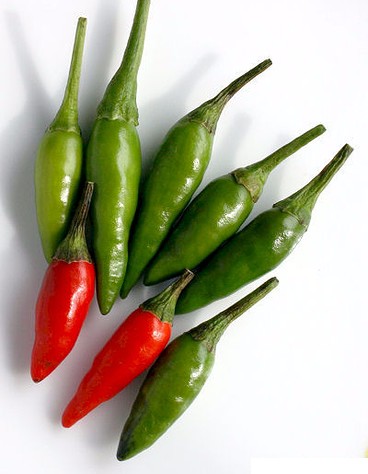 Thai Pepper