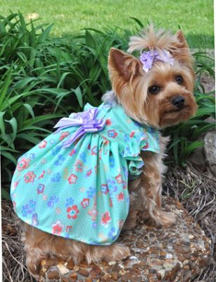 The best flower girl dog dress is the one that fits perfectly and one that