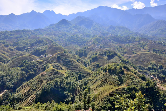 Sapa Vietnam Dao Hmong arrozal arroz Sa Pa Lao Chai Ta Van Su Pan Giang Ta Chai.