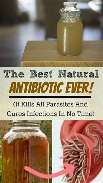 The Most Powerful Natural Antibiotic That Cures Any Infection In The Body