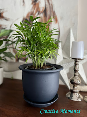 Dark Blue Chalk painted Planter staged with a plant.