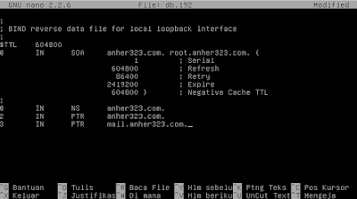 setting DNS Server