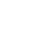 logo !nsertlive