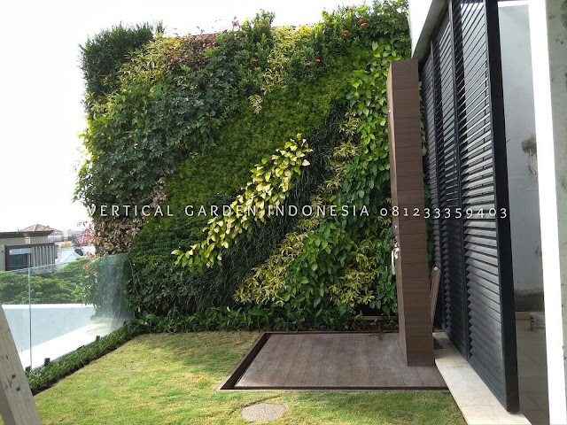 VERTICAL GARDEN INDONESIA SPESIALIS JASA PEMBUATAN VERTICAL GARDEN DI SIDOARJO DAN DI SELURUH WILAYAH SIDOARJO DENGAN TENAGA YANG PROFESIONAL DAN DAPAT DI PERCAYA YANG SELALU MENGUTAMAKAN SEBUAH MUTU DAN KUALITAS PEMASANGAN VERTICAL GARDEN/TAMAN DINDING, JASA TUKANG TAMAN VERTICAL SIDOARJO, JASA VERTICAL GARDEN SIDOARJO