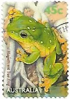Selo Litoria splendida