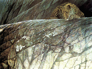 Leopard Ambush, 1982