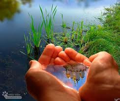 hand water