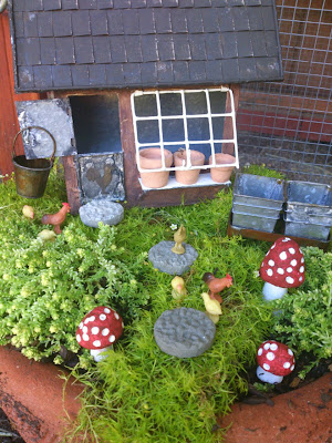 gnome fairy garden, chicken fairy garden