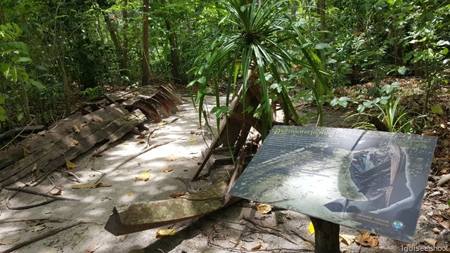 Nature trail at Hong Island.