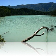 clip_image002[5]