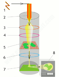 TRANSMISION ELECTRON MICROSCOPES