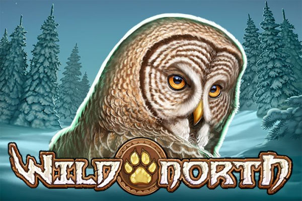 Wild North Slot Demo