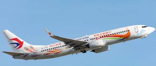 China Eastern Plane Crash Likely Intentional