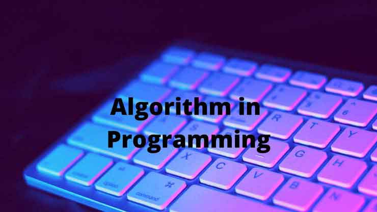 algorithm in programming