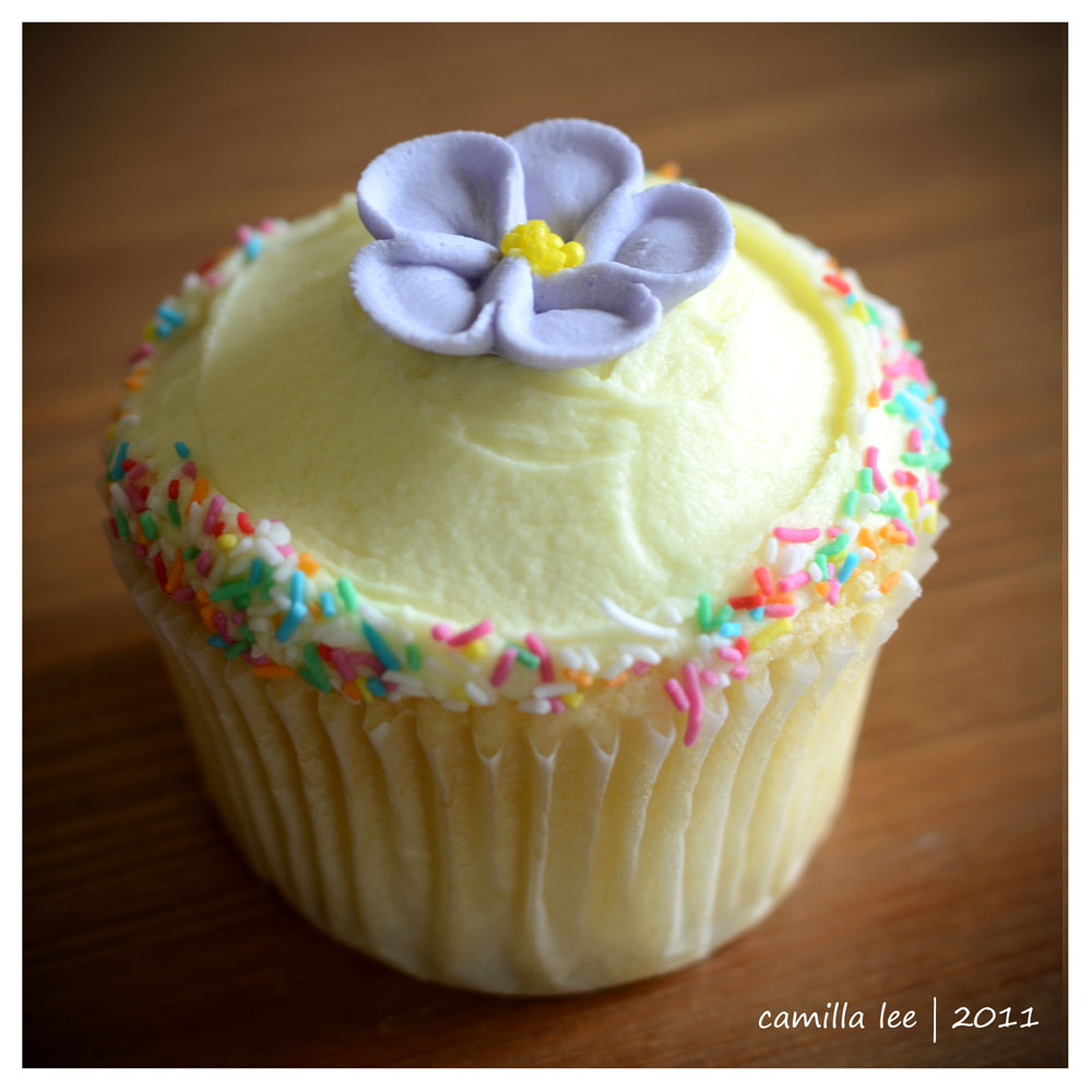 Easy Decorated Cupcakes