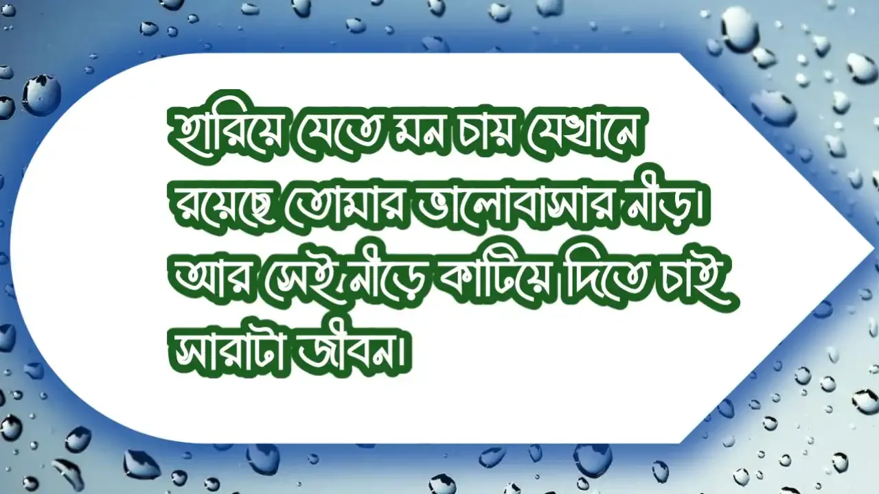 রোমান্টিক স্ট্যাটাস