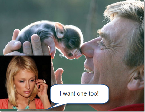 Paris Hilton and Her Teacup Piglet