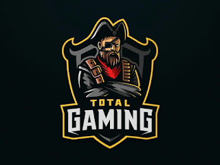 Who is Ajju Bhai? Cheack Ajju Bhai Free Fire Id, Stats, Income Here