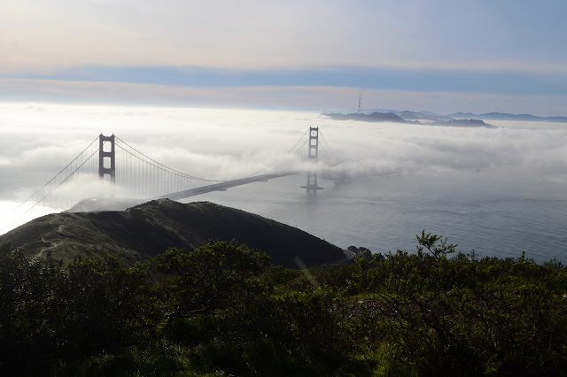 fog shrouded bridge