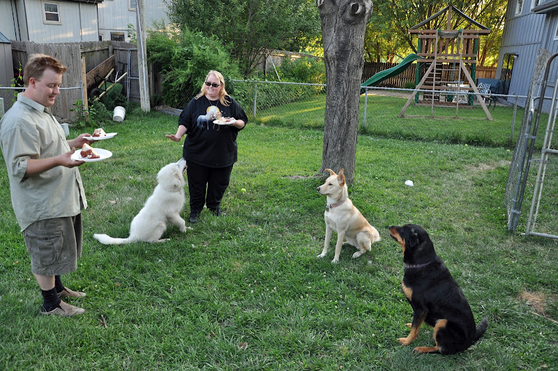 Our dogs are the two on the right that are waiting for their treat  title=